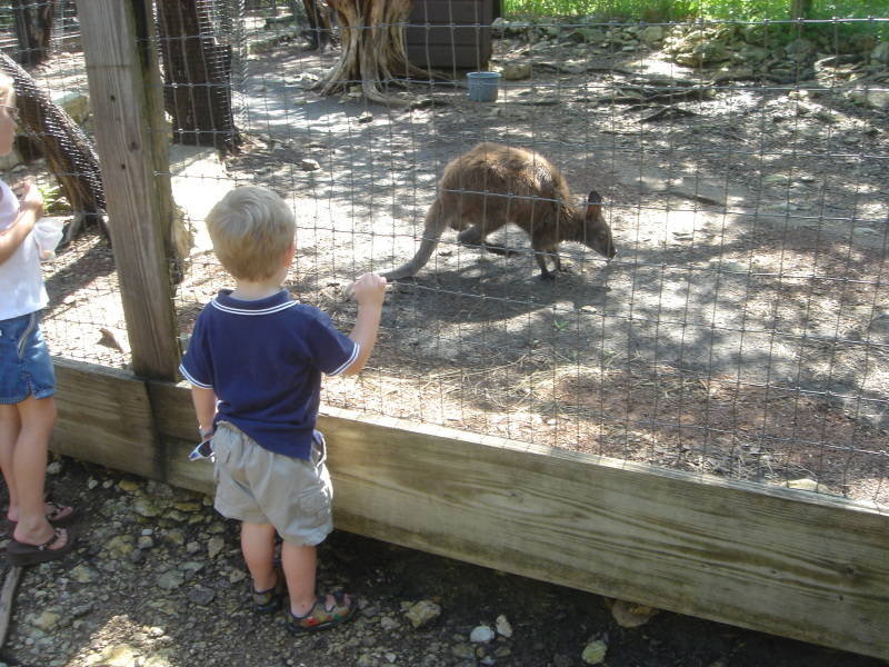 2007/07(July)/01(Austin-Zoo)/800x600_2007-07-07-08-Austin-Zoo.JPG