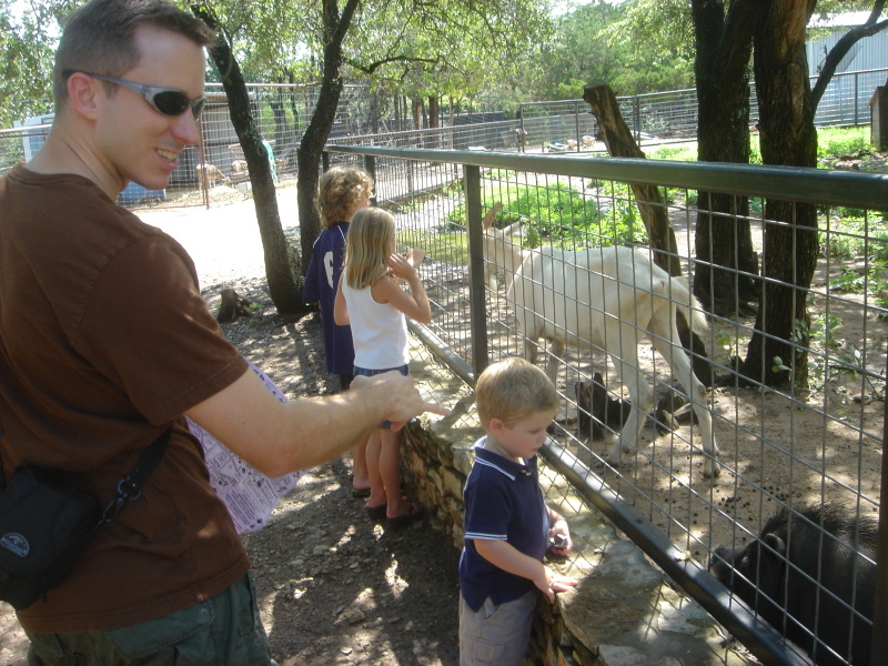 2007/07(July)/01(Austin-Zoo)/800x600_2007-07-07-14-Austin-Zoo.JPG