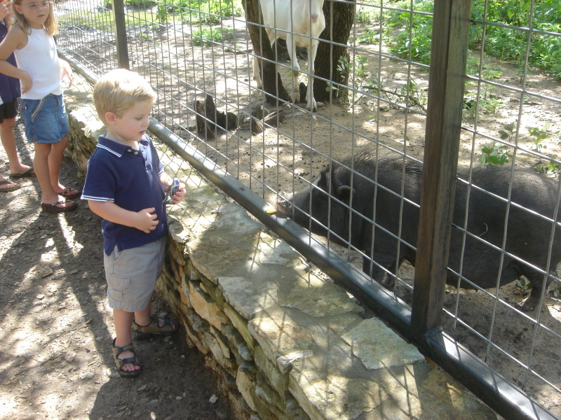 2007/07(July)/01(Austin-Zoo)/800x600_2007-07-07-15-Austin-Zoo.JPG