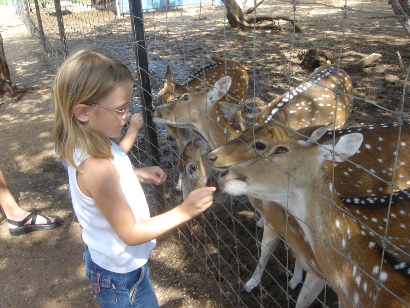 2007/07(July)/01(Austin-Zoo)/800x600_2007-07-07-16-Austin-Zoo.JPG