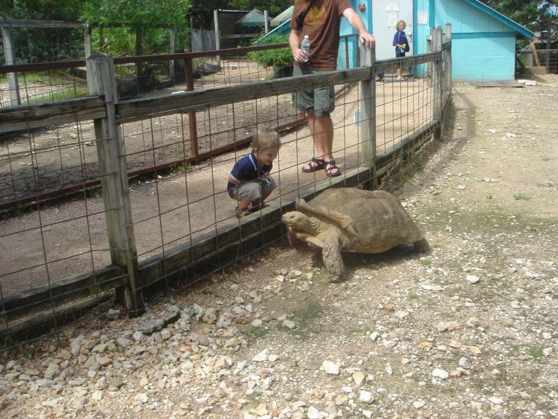 2007/07(July)/01(Austin-Zoo)/800x600_2007-07-07-19-Austin-Zoo.JPG