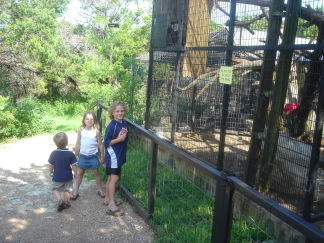 2007-07-07-00-Austin-Zoo.JPG