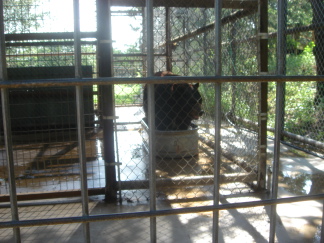 2007-07-07-04-Austin-Zoo.JPG