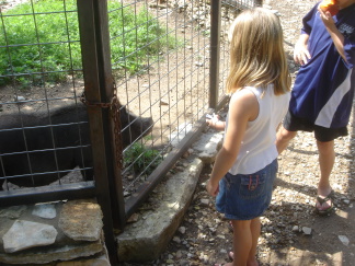 2007-07-07-11-Austin-Zoo.JPG