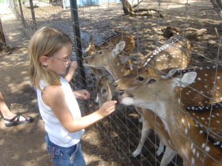 2007-07-07-16-Austin-Zoo.JPG