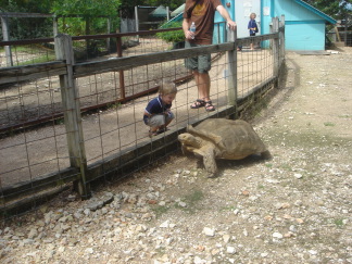 2007-07-07-19-Austin-Zoo.JPG