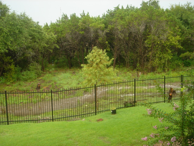 2007/07(July)/03(Backyard-Creek)/2007-07-23-01-BackYard-River.JPG