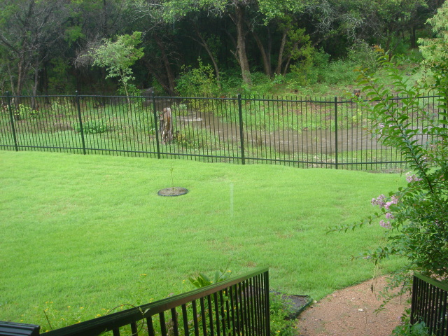 2007-07-23-03-BackYard-River.JPG