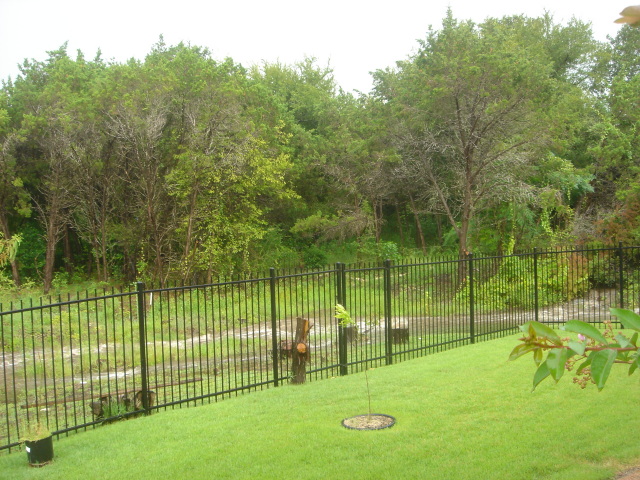2007-07-23-04-BackYard-River.JPG