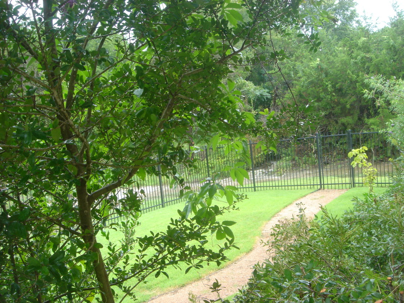 2007/07(July)/03(Backyard-Creek)/800x600_2007-07-23-10-BackYard-River.JPG