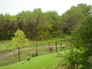 2007-07-23-02-BackYard-River.JPG