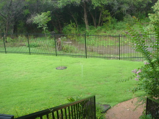 2007-07-23-03-BackYard-River.JPG