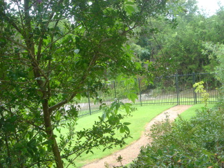 2007-07-23-10-BackYard-River.JPG