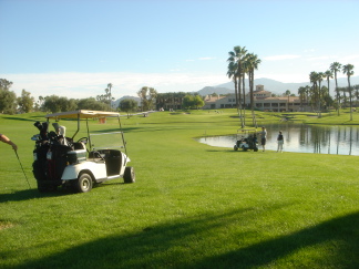 2007-11-26-02-PalmDesert-Trolls.JPG