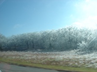 2007/12(Dec)/02(Albert-Scott-Funeral)/2007-12-13-ice-Kansas.JPG