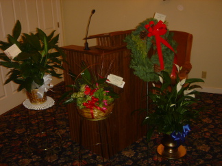 2007-12-16-08-Wake-Albert.JPG