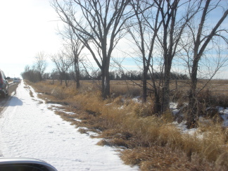 2007-12-17-04-trip-to-cemetery-Dads-Car-leading.JPG