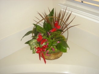 Flowers-Jackie-Sharon.JPG