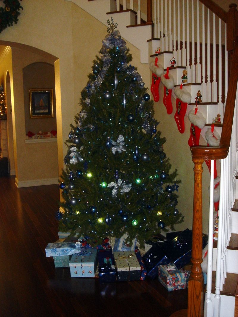 2007/12(Dec)/03(Christmas-Eve)/800x600_2007-12-24-01-Christmas-Eve.JPG