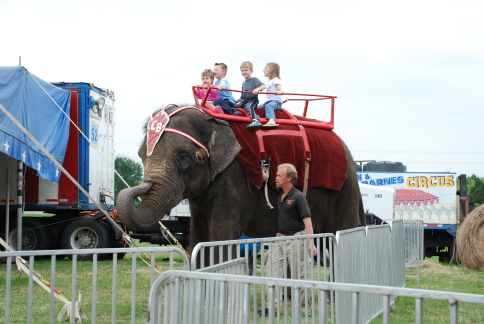 2008-04-02-Circus-Ian-0.JPG