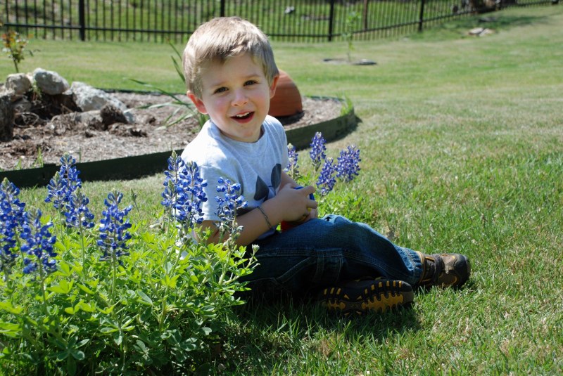 2008/04(April)/02(Ian)/800x600_2008-04-06-Ian-Backyard-2.JPG