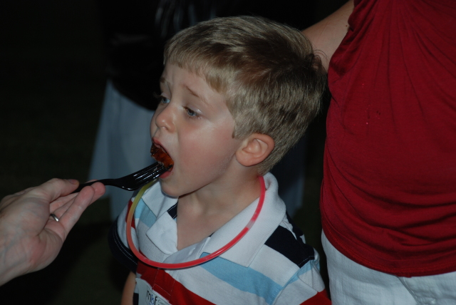 2008/07(July)/02(Escondido-Picnic)/640x480_2008-07-05-21.JPG