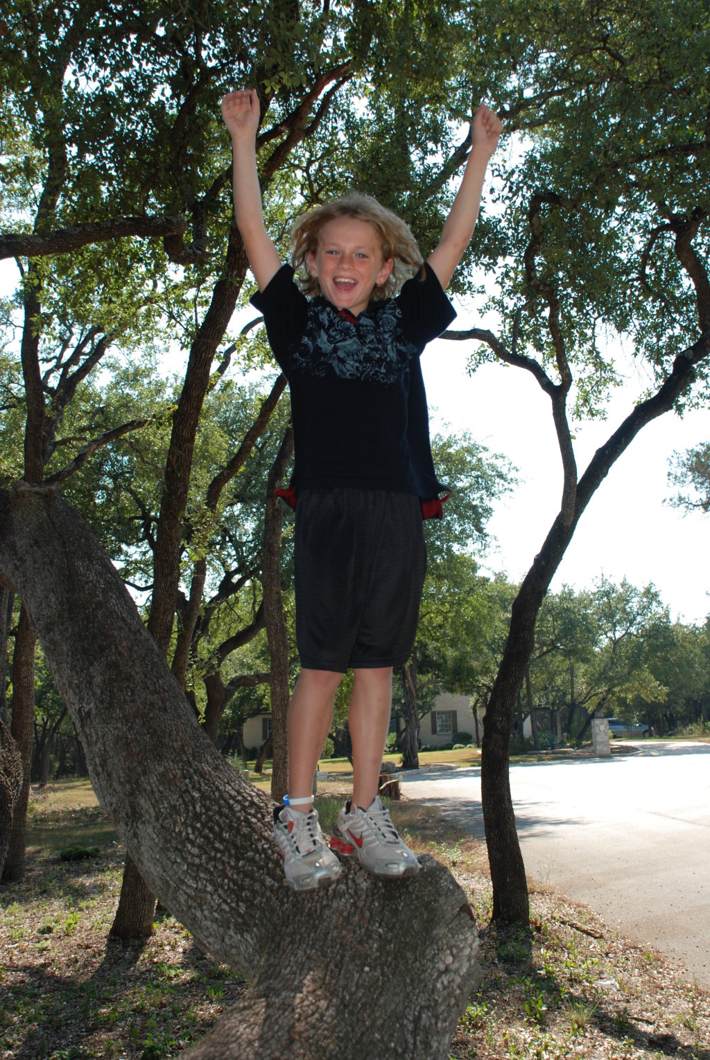 2008/09(Sep)/02(Grandkids)/1024x768_2008-09-28-12-Vale-Tree.JPG