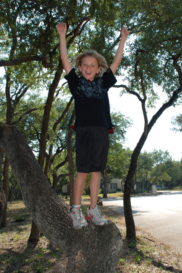 2008/09(Sep)/02(Grandkids)/640x480_2008-09-28-12-Vale-Tree.JPG