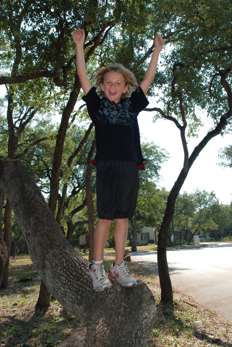2008/09(Sep)/02(Grandkids)/800x600_2008-09-28-12-Vale-Tree.JPG