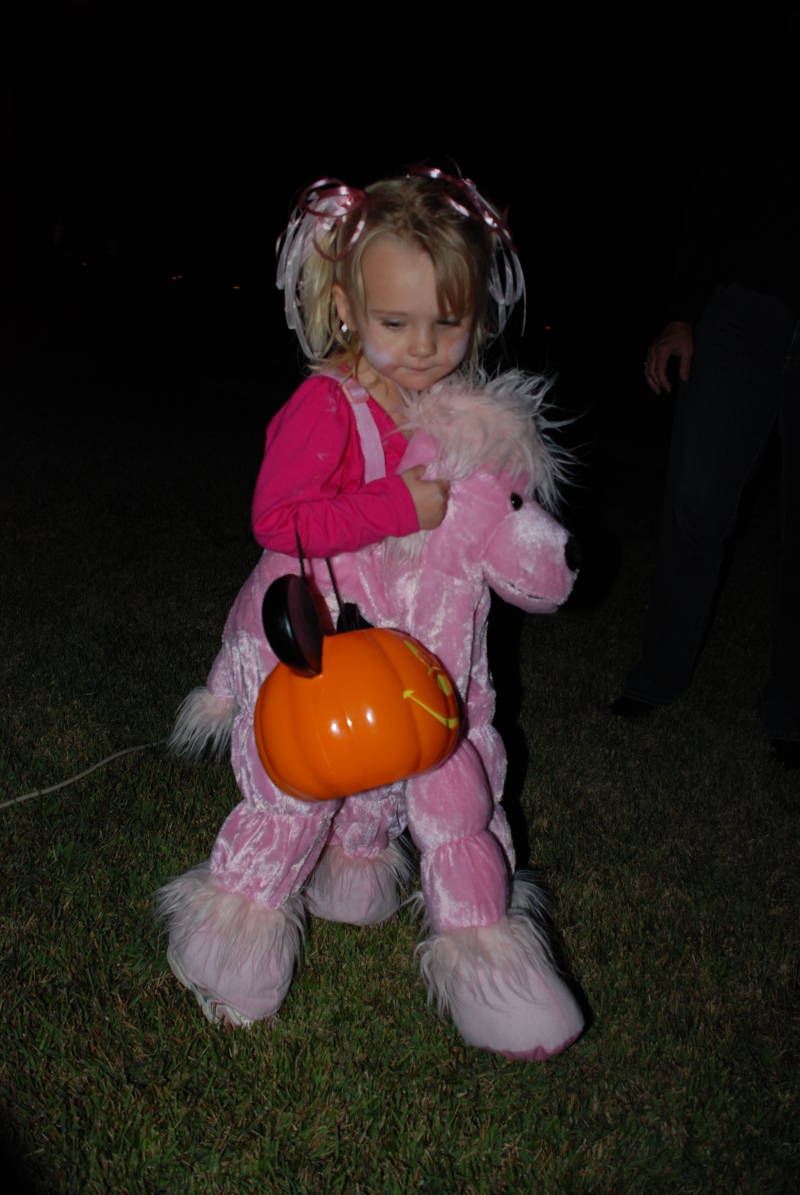 2008/10(Oct)/04(Halloween)/800x600_2008-10-31-17.JPG