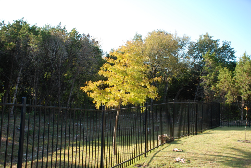2008/11(Nov)/01(Fall-Foliage)/1024x768_2008-11-backyard-18.JPG
