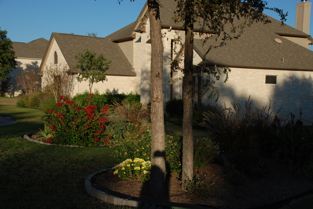 2008/11(Nov)/01(Fall-Foliage)/1024x768_2008-11-frontyard-23.JPG