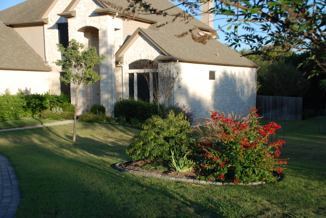 2008/11(Nov)/01(Fall-Foliage)/640x480_2008-11-frontyard-22.JPG