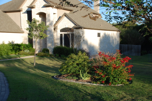 2008-11-frontyard-22.JPG