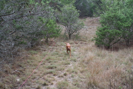2008-11-29-1739.JPG