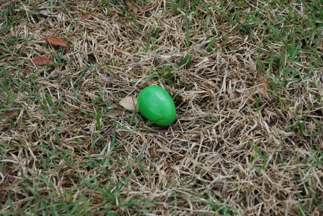 2010/04(April)/Easter/640x480_2010-04-04-Easter-17.jpg