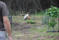 2011/04(April)/Easter/2011-04-24-Easter-01.jpg
