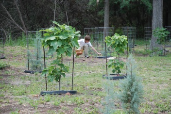 2011-04-24-Easter-08.jpg