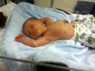 2012-02-29-Henry-Thoreson.jpg