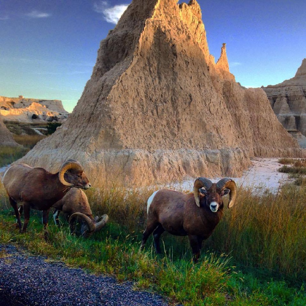 Black-Hills-SD/1024x768_BadLands2.jpg