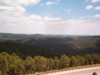 Black_Hills,_Mount_Rushmore_National_Park.jpg
