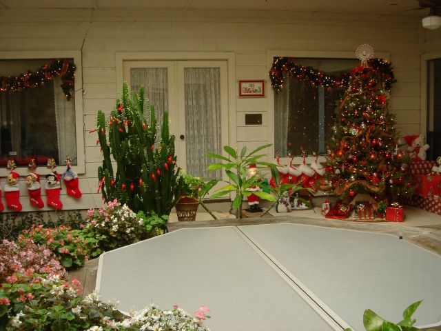 3309-TOC-36-Christmas-in-Atrium.JPG