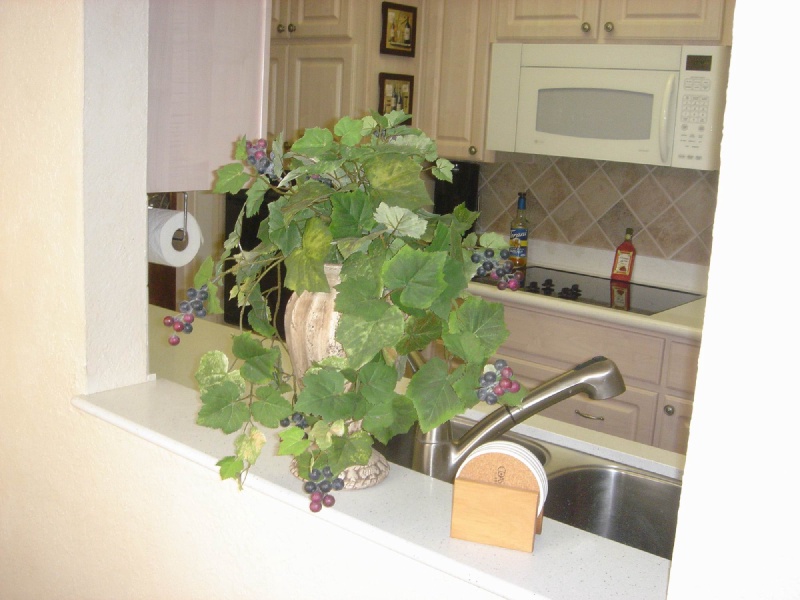 Homes/Thousand-Oaks-Cove/800x600_3309-TOC-26-Kitchen.JPG