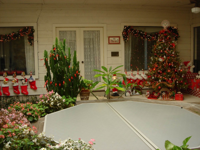 Homes/Thousand-Oaks-Cove/800x600_3309-TOC-36-Christmas-in-Atrium.JPG