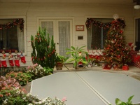 3309-TOC-36-Christmas-in-Atrium.JPG