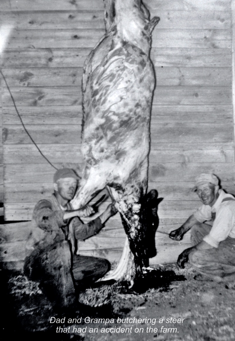 1954-Albert-Clyde-butchering-steer.jpg