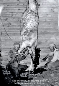1954-Albert-Clyde-butchering-steer.jpg