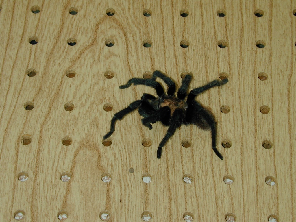 dscn0034.jpg