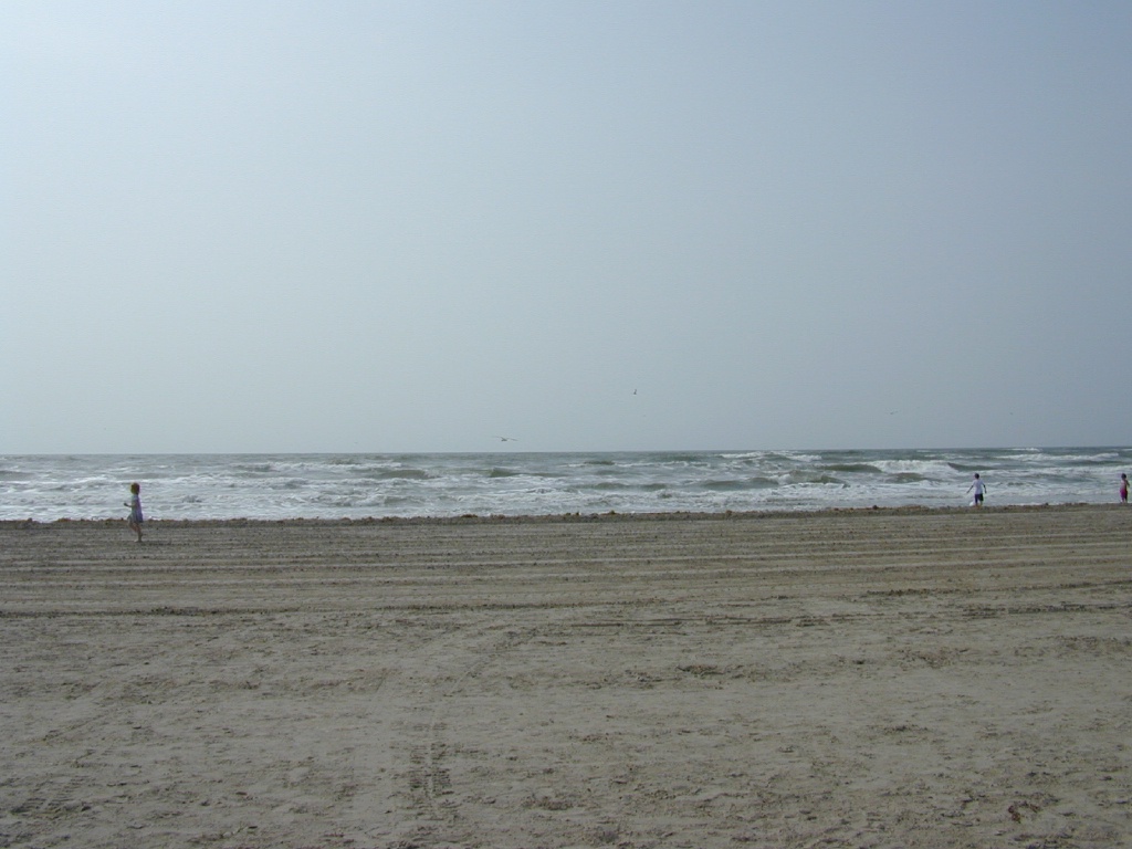 dscn0010.jpg