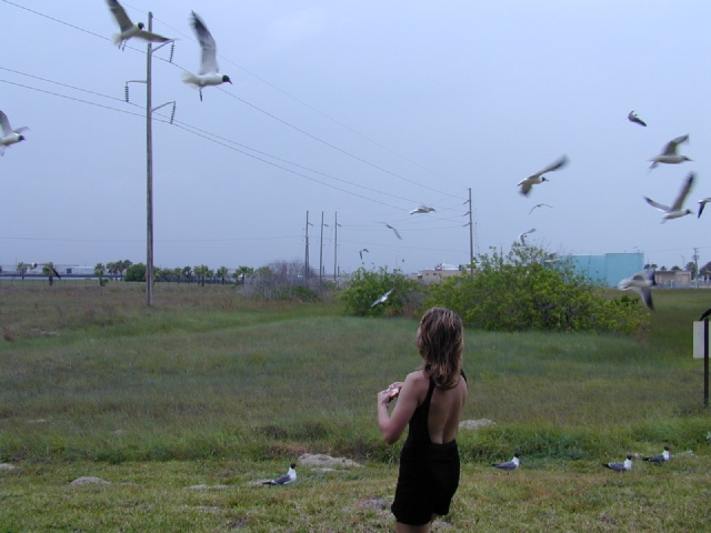 dscn0007.jpg